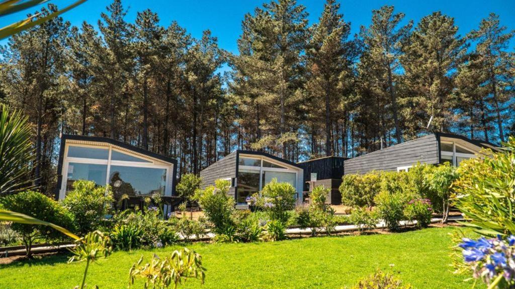 Curi Lodge Pichilemu Ngoại thất bức ảnh